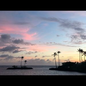 Meet your Posher, Ava